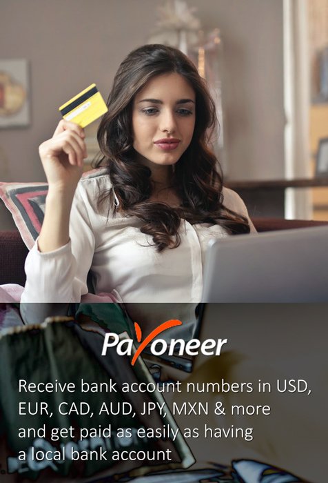 Payoneer India Datafriend